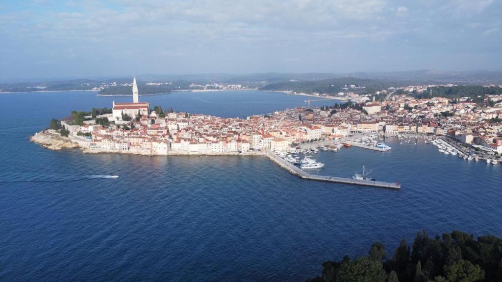 Apartment Michaela 4-Sterne & Parking Rovinj Kültér fotó
