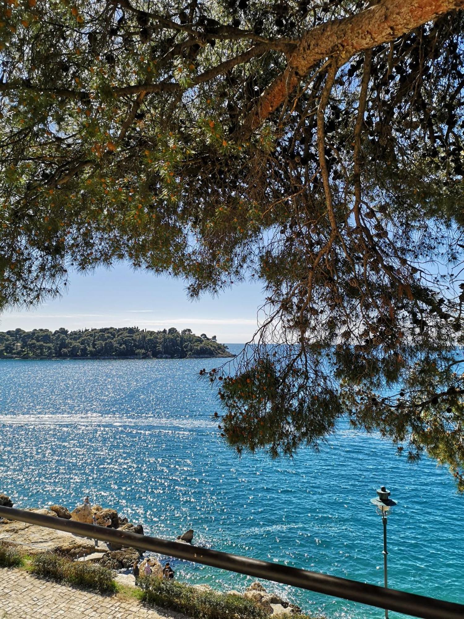 Apartment Michaela 4-Sterne & Parking Rovinj Kültér fotó